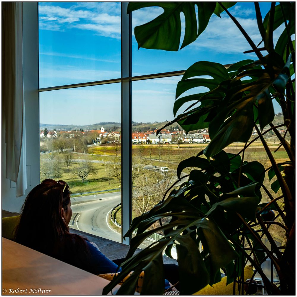 Blick aus dem Fenster