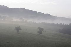 Blick aus dem Fenster am Morgen