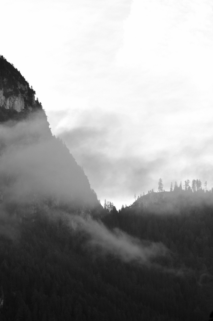 Blick aus dem Fenster am Morgen