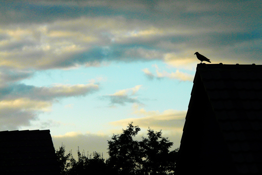 Blick aus dem Fenster an einem "Sommertag" am 19.6.2010