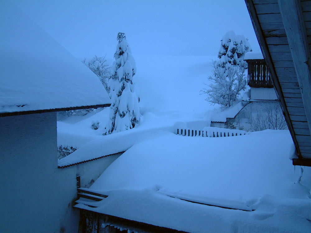 Blick aus dem Fenster