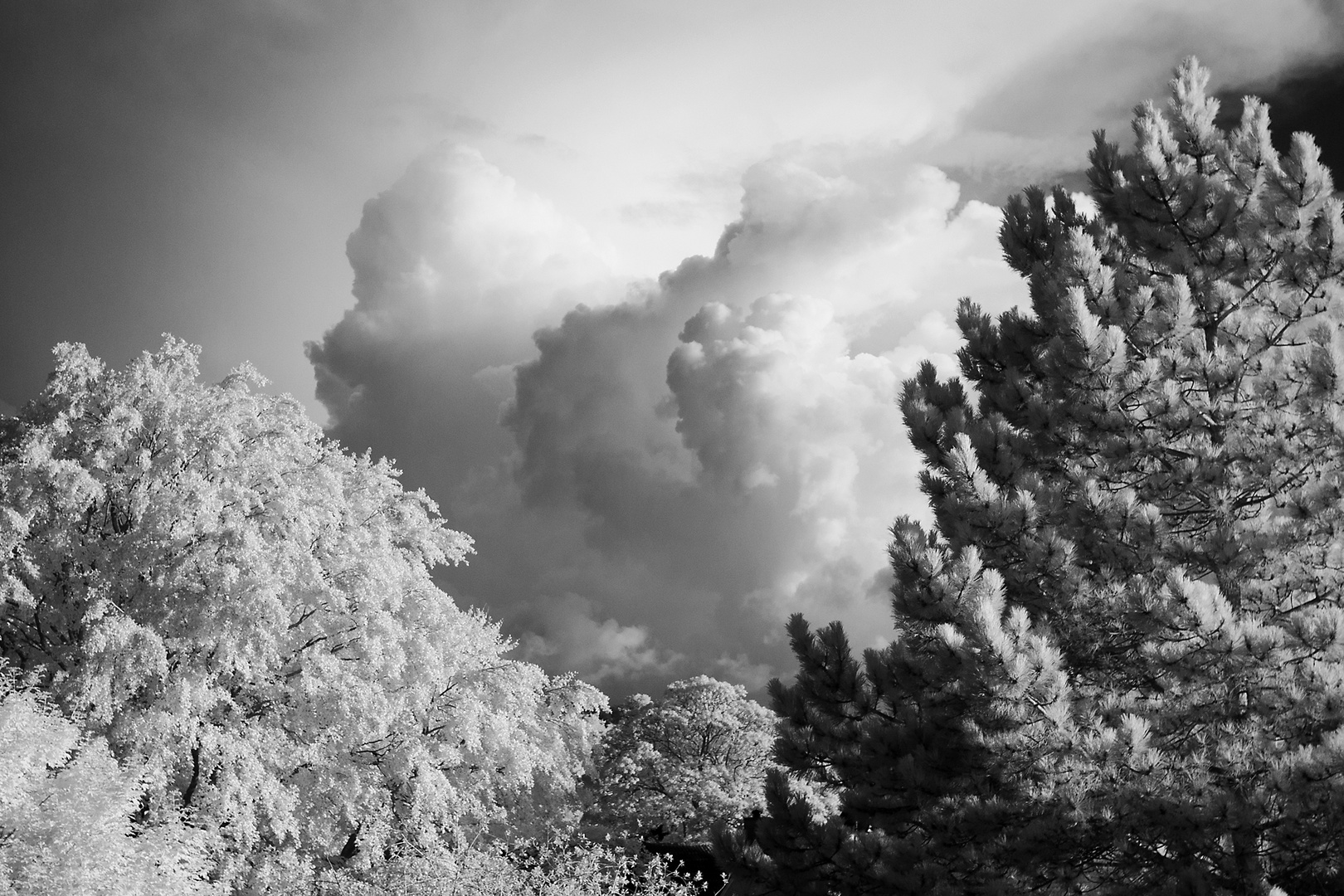 Blick aus dem Fenster