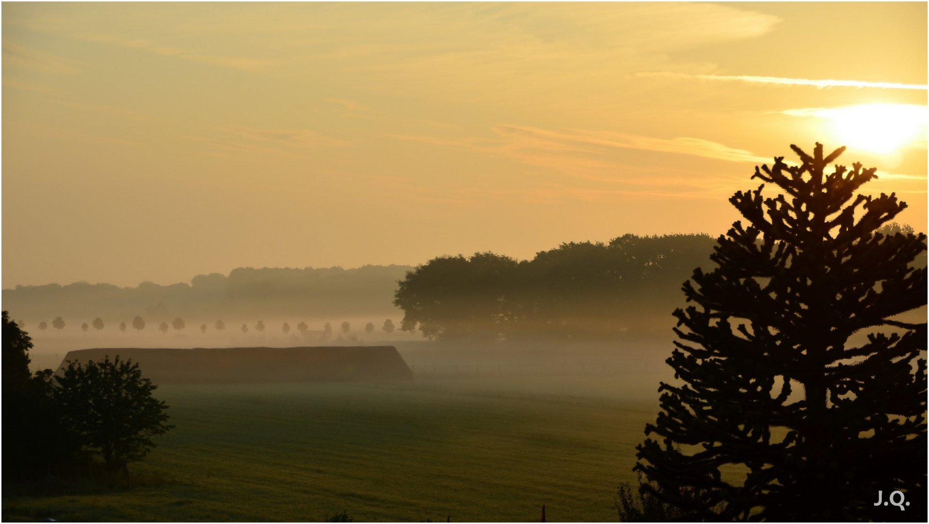 blick aus dem fenster