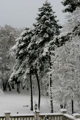 Blick aus dem Fenster