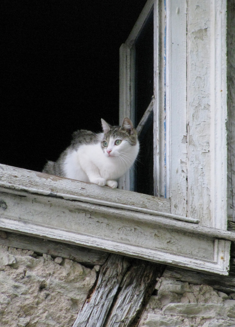 Blick aus dem Fenster