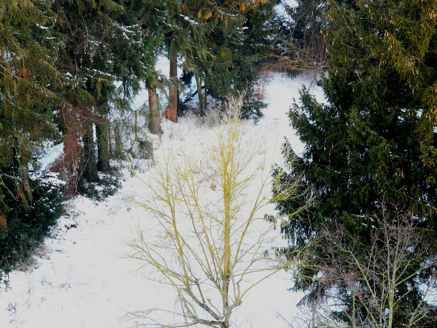 Blick aus dem Fenster