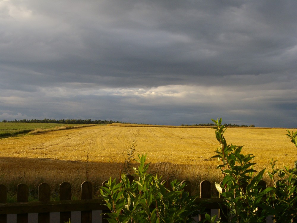 Blick aus dem Fenster