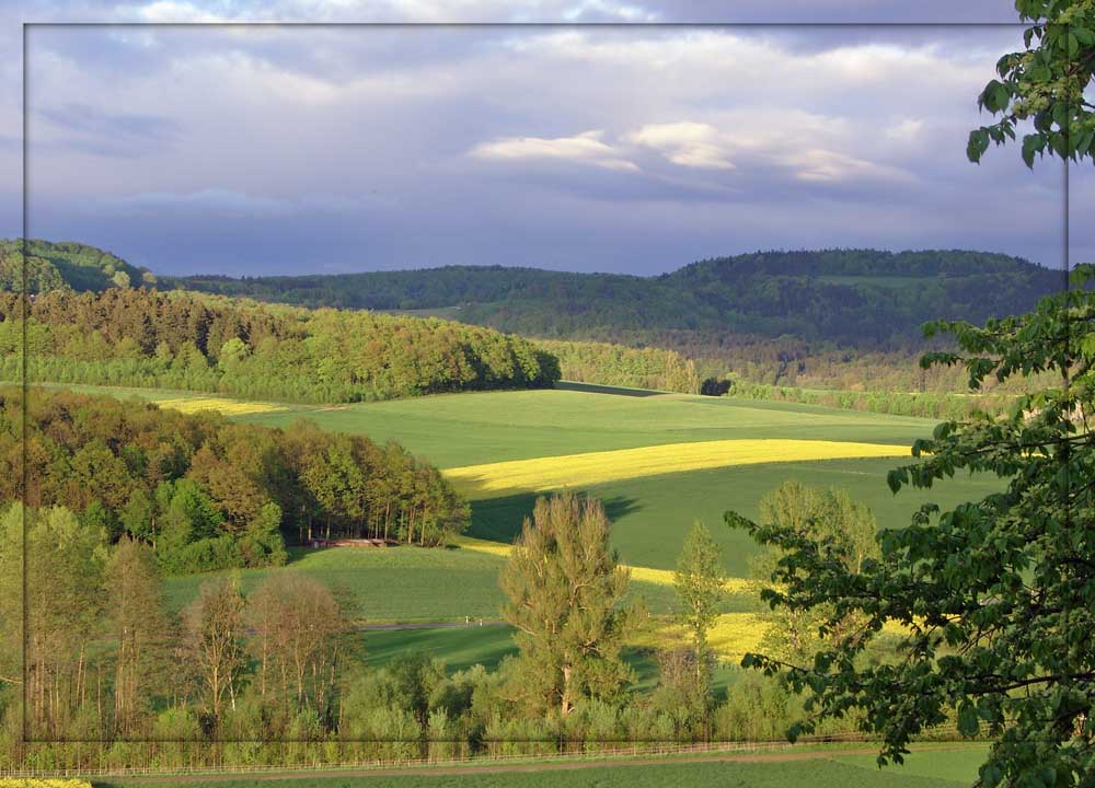 Blick aus dem Fenster