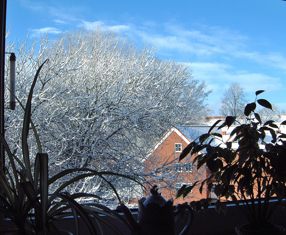 Blick aus dem Fenster