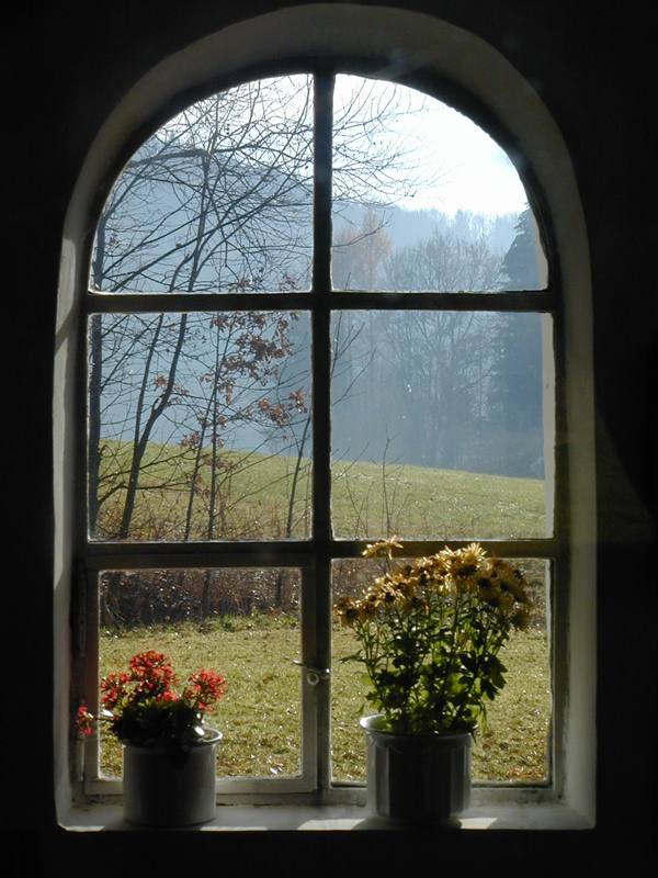 Blick aus dem Fenster