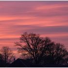 Blick aus dem Fenster