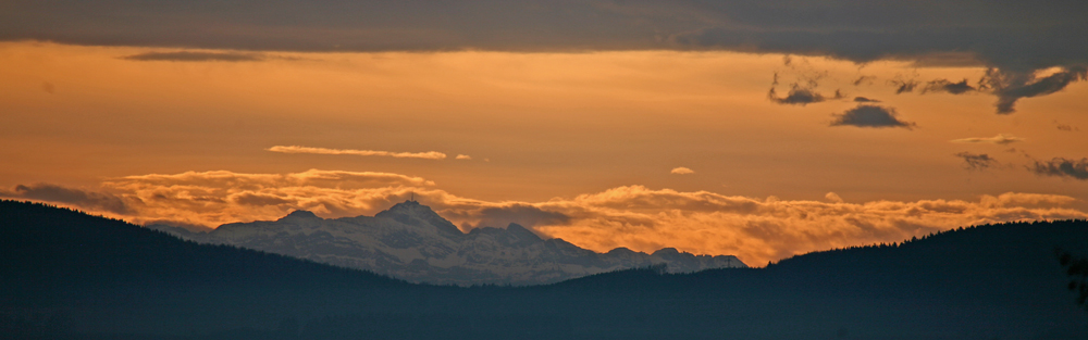 Blick aus dem Fenster