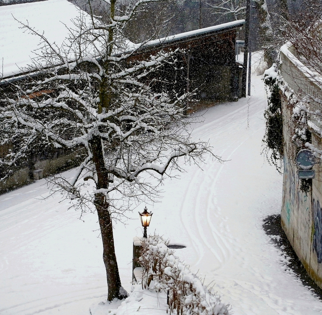 Winter Schnee Schneebilder Fenster Der winter hat sich