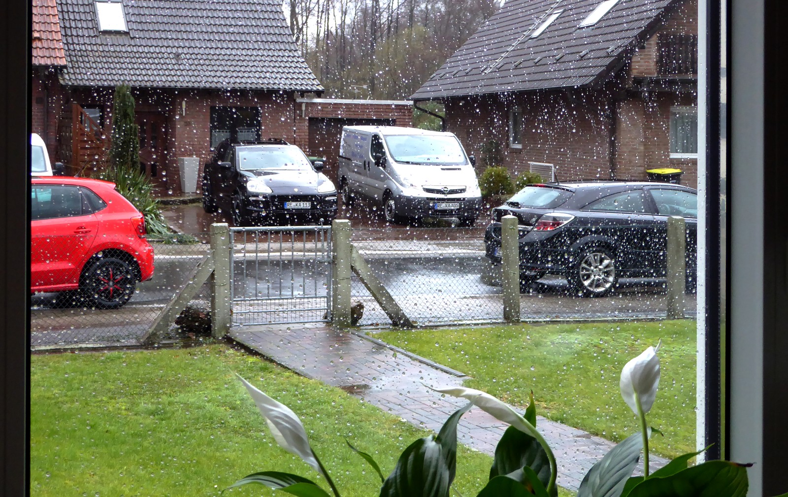 Blick aus dem Fenster:    Fotowetter??