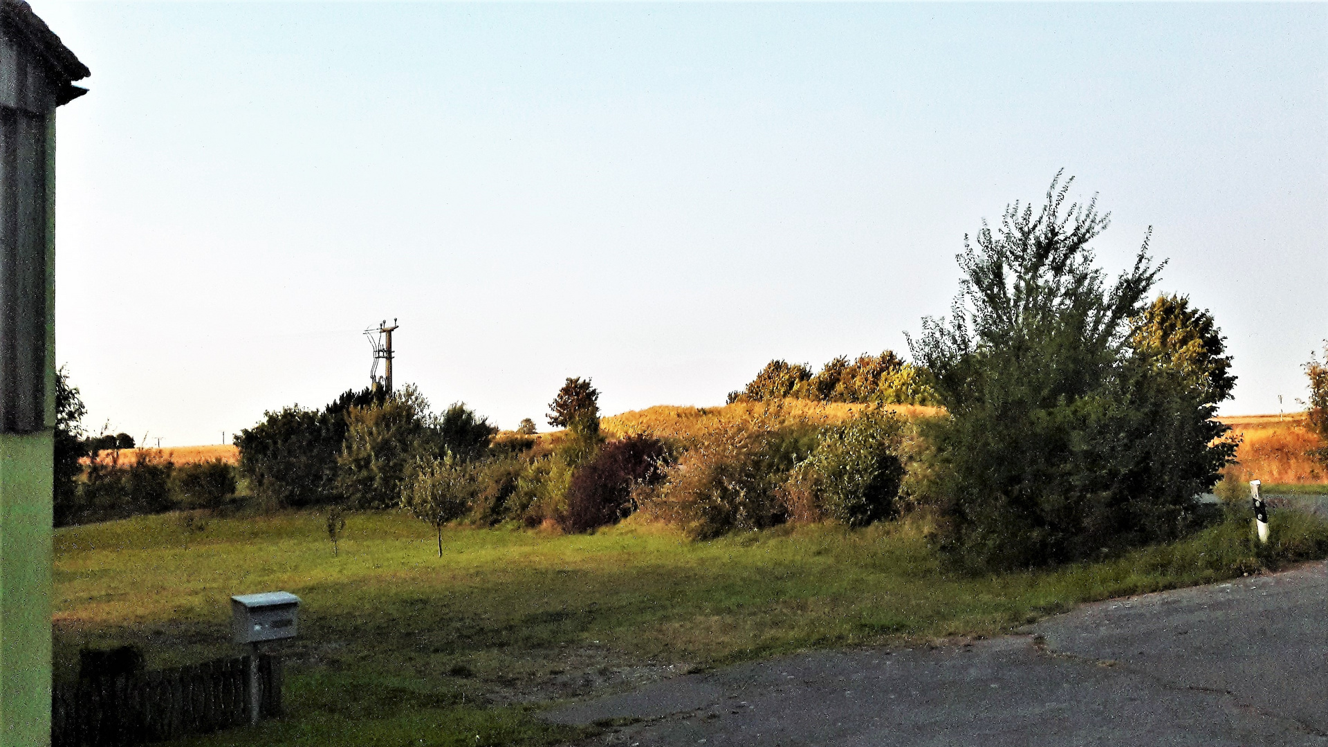 Blick aus dem Fenster : Herbstfarben im Licht 29.9.2019