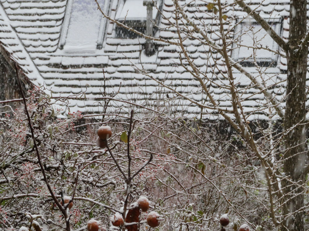 Blick aus dem Fenster heute  vormittag