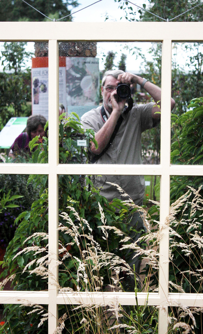 Blick aus dem Fenster in den Garten