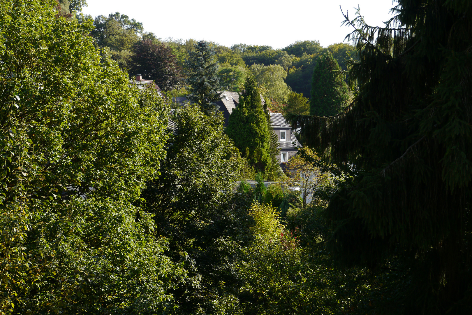 Blick aus dem Fenster in Essen Kettwig ins Grüne