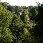 Blick aus dem Fenster in Essen Kettwig ins Grüne