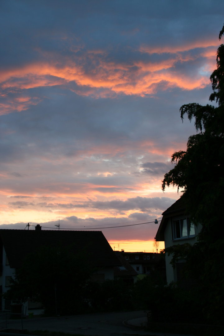 Blick aus dem Fenster in Hoffenheim