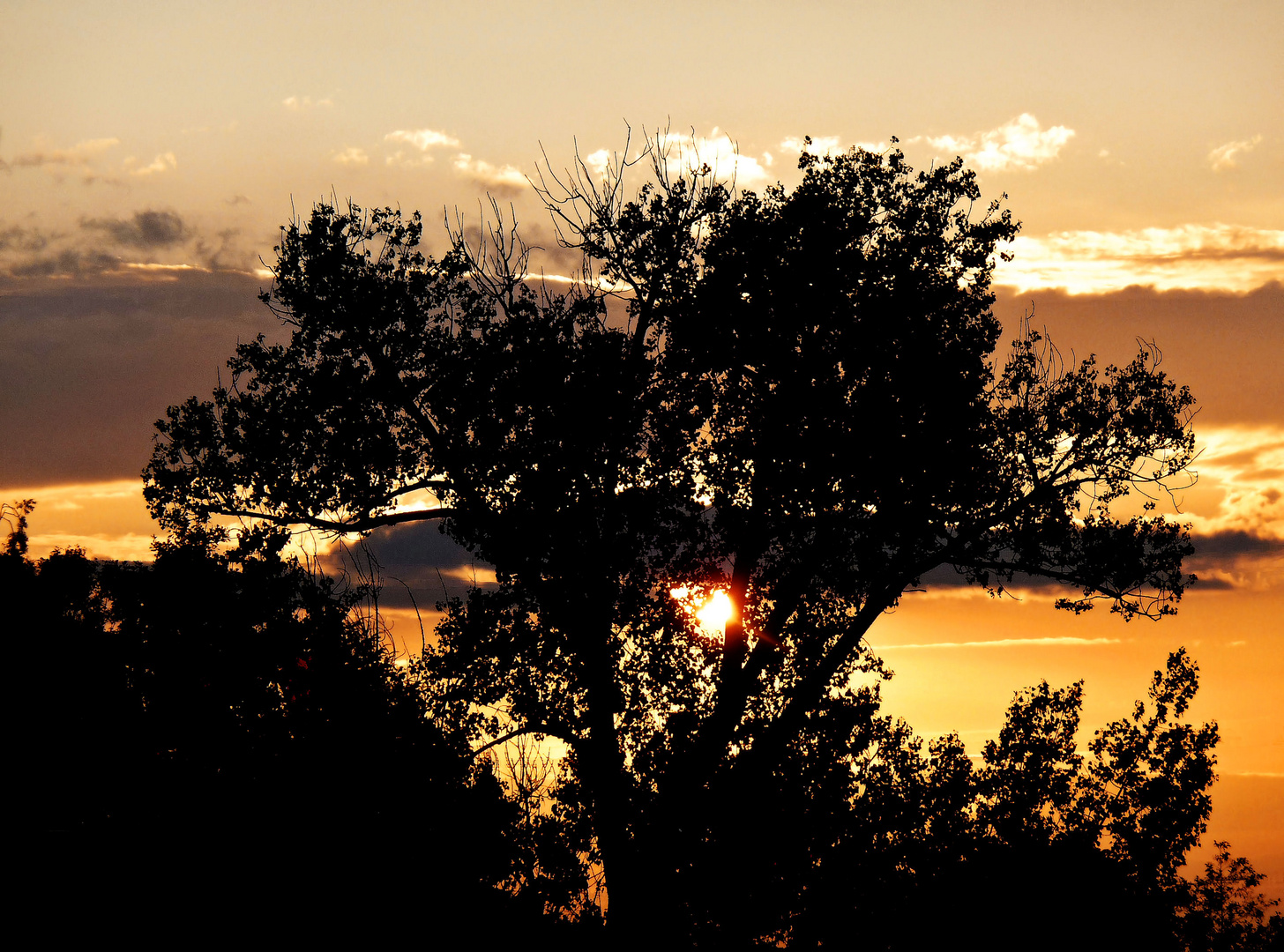 Blick aus dem Fenster - mal in Farbe..