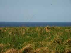 Blick aus dem Fenster meines Ferienhauses in Lønstrup / DK