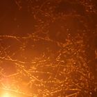 Blick aus dem Fenster - mitten in einer Winternacht - im Schein der Straßenlampe