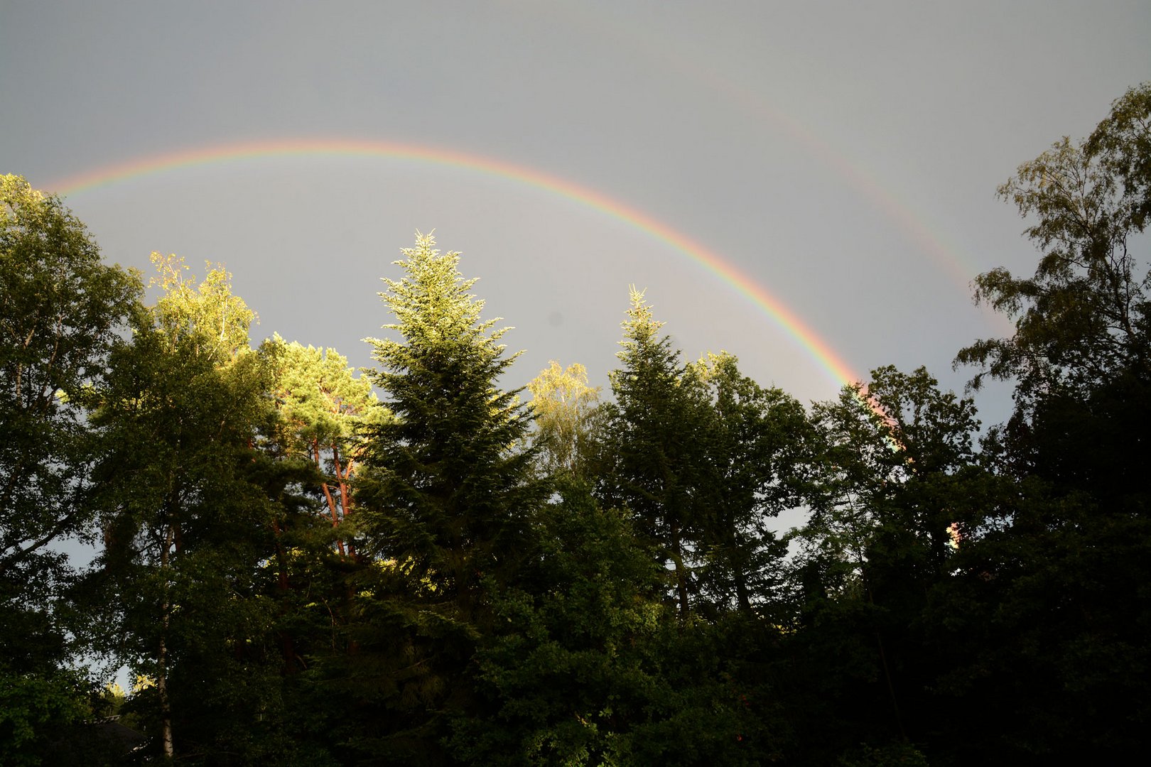 Blick aus dem Fenster nach dem Regen