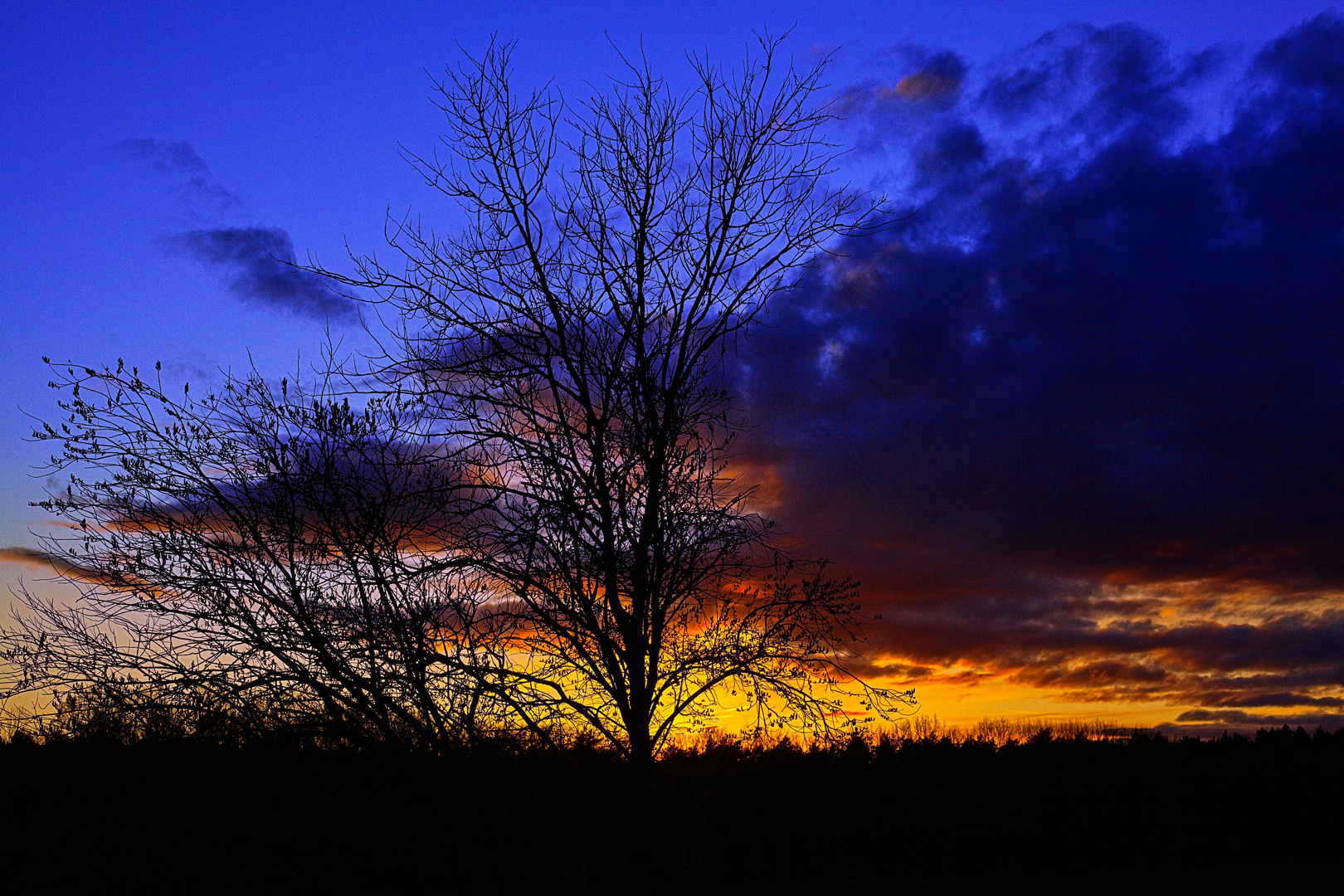 Blick aus dem Fenster - nach dem Sonnenuntergang