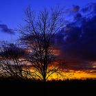 Blick aus dem Fenster - nach dem Sonnenuntergang