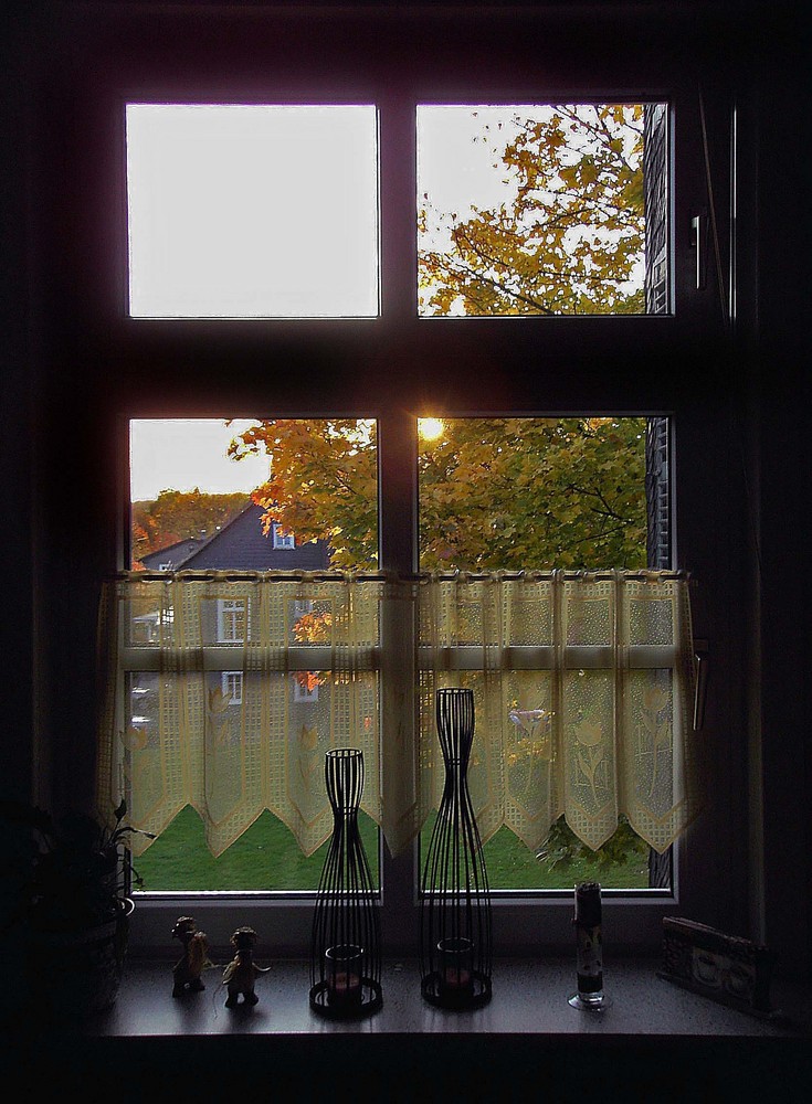 Blick aus dem Fenster zur herbstlichen Abendsonne