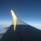 Blick aus dem Flugzeug