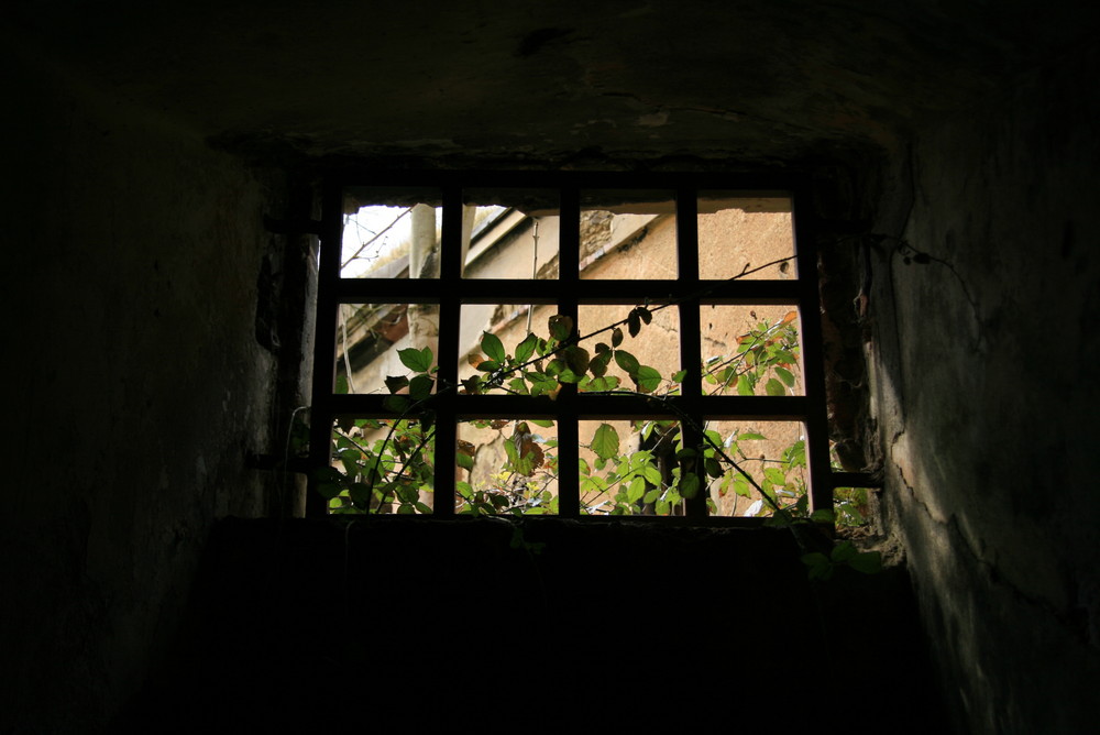 Blick aus dem Fort Asterstein in Koblenz