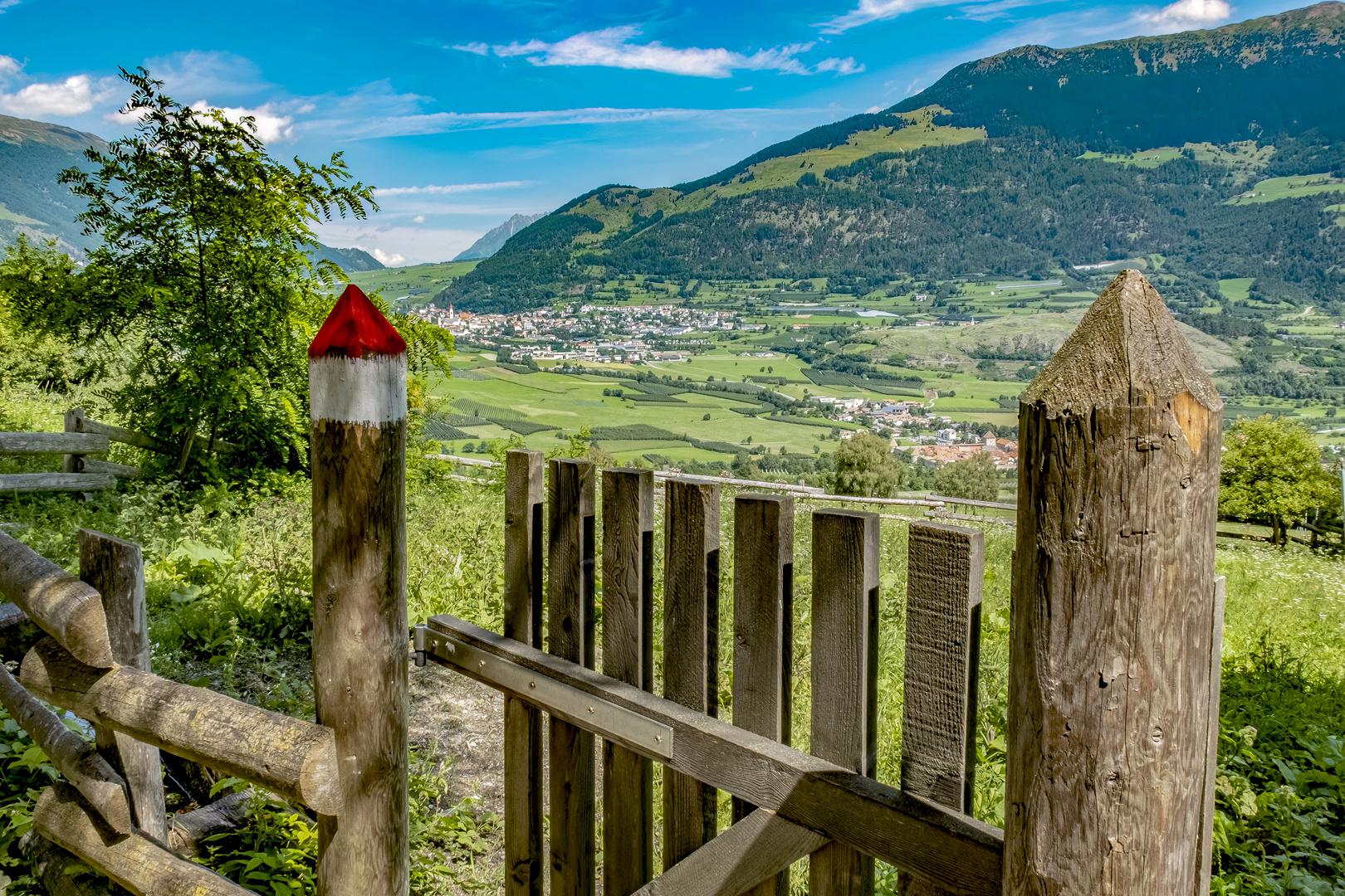 Blick aus dem Garten