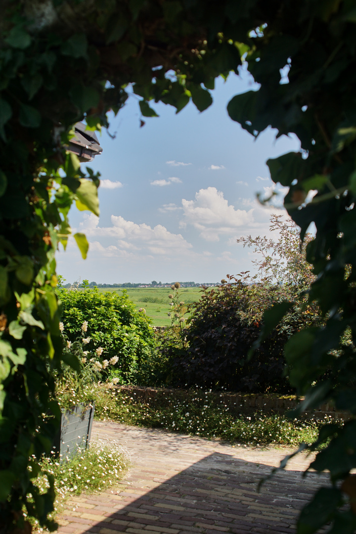 Blick aus dem Garten