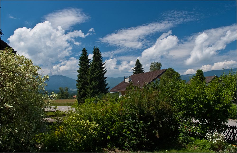 Blick aus dem Garten