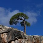 Blick aus dem Grand Canyon