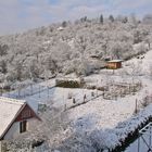 Blick aus dem Hausflurfenster