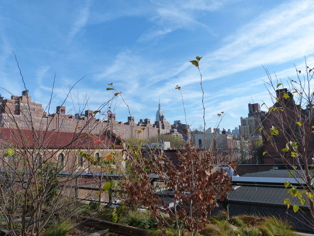 Blick aus dem High Line Park in NYC