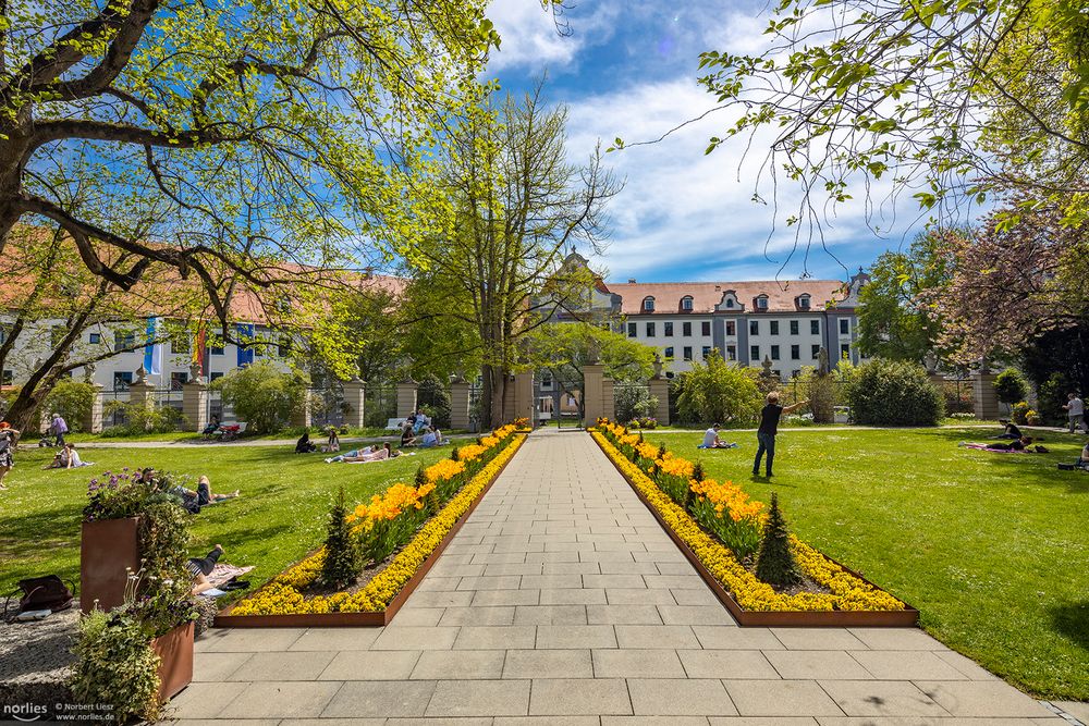 Blick aus dem Hofgarten