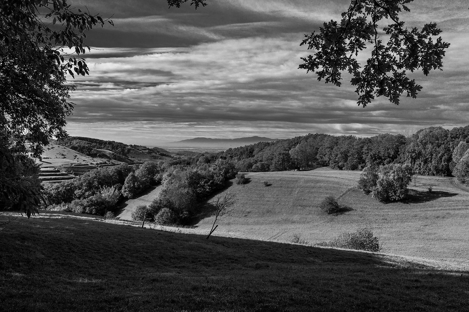 Blick aus dem Kaiserstuhl