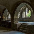 Blick aus dem Kapitelsaal - Dom Halberstadt