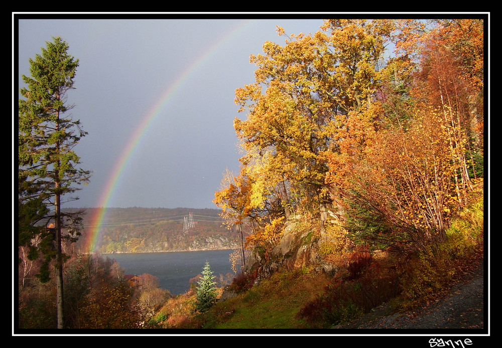 Blick aus dem Küchenfenster