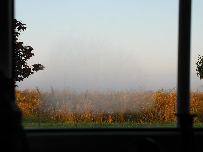 Blick aus dem Küchenfenster...