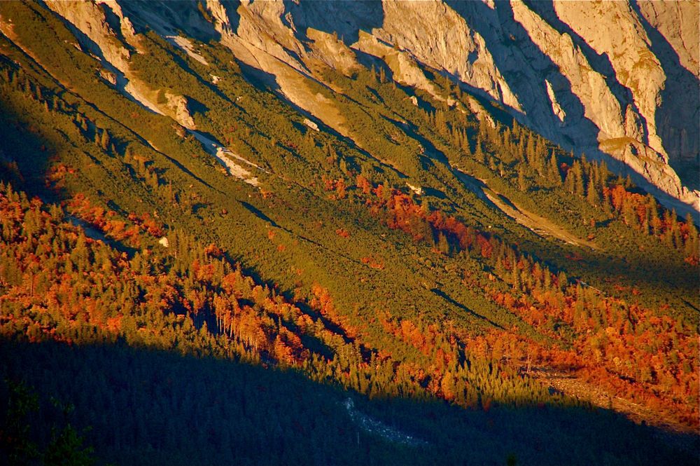 Blick aus dem Küchenfenster2