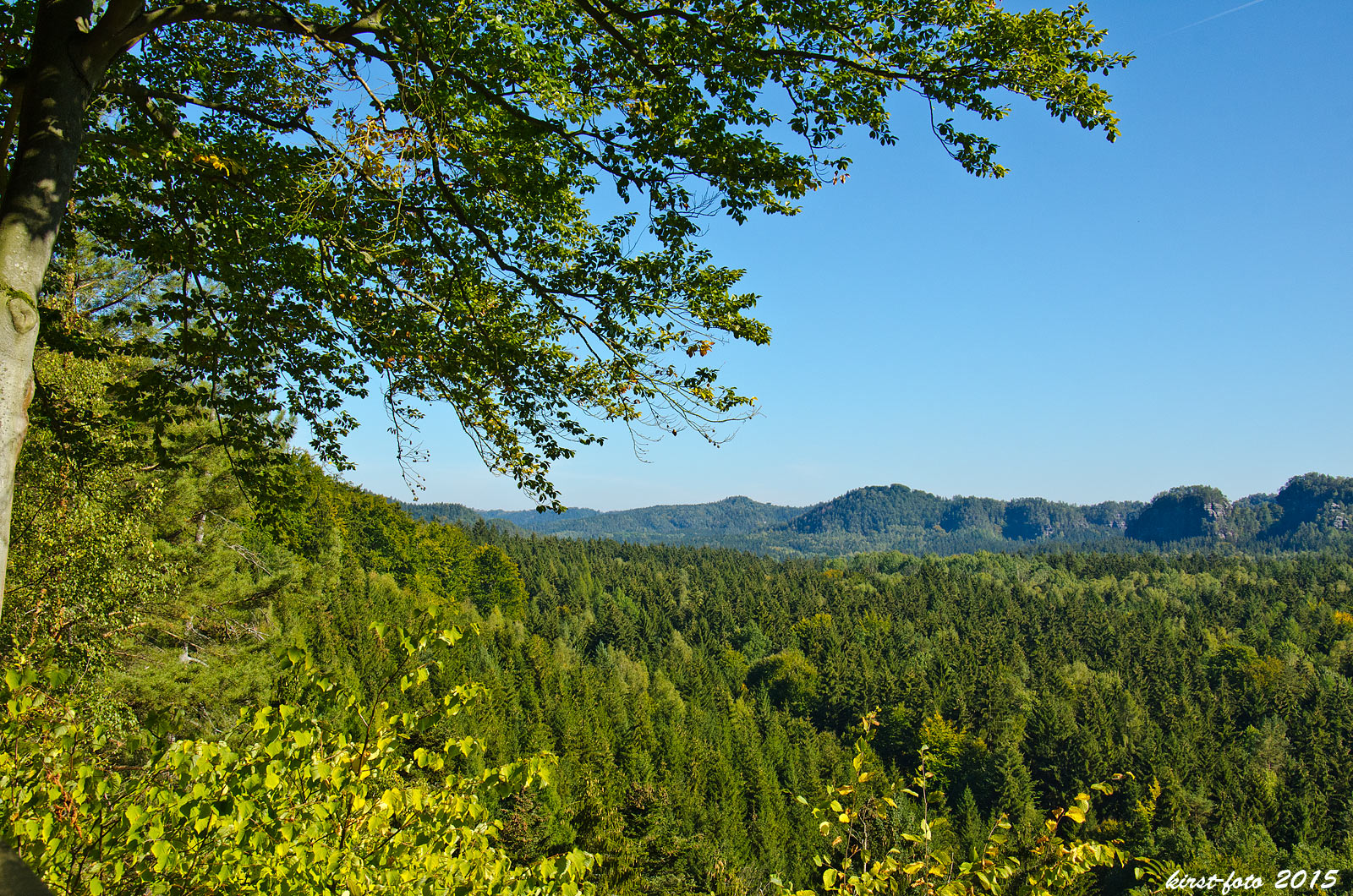 Blick aus dem Kuhstall