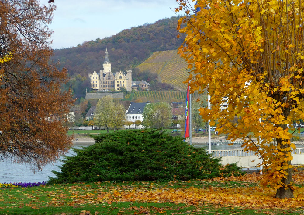Blick aus dem Kurpark von Bad Breisig auf das Schloss Arenfels