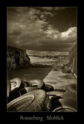 Blick aus dem Mais- Silo