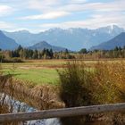 Blick aus dem Murnauer Moss auf das Wettersteinmasiv