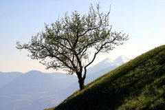 Blick aus dem Passeiertal - Südtirol